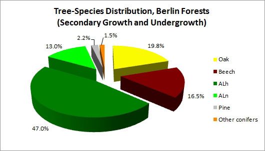 Fig. 3: Tree Species Distribution Berlin Forests (Secondary Growth and Undergrowth)