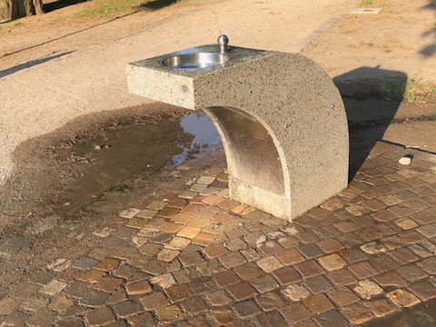 Trinkwasserbrunnen in der Wuhlheide