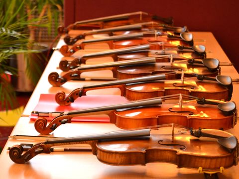 Violinen in einer Reihe