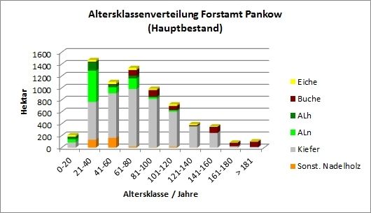 Abb. 13: Altersklassenverteilung Forstamt Pankow (Hauptbestand) 