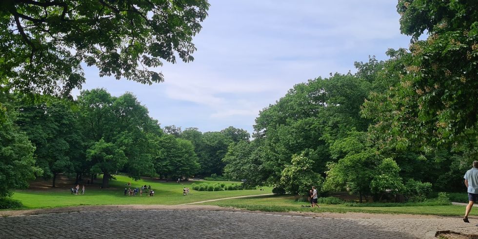 Volkspark Wilmersdorf: Blick vom Hippie-Hügel auf den Park