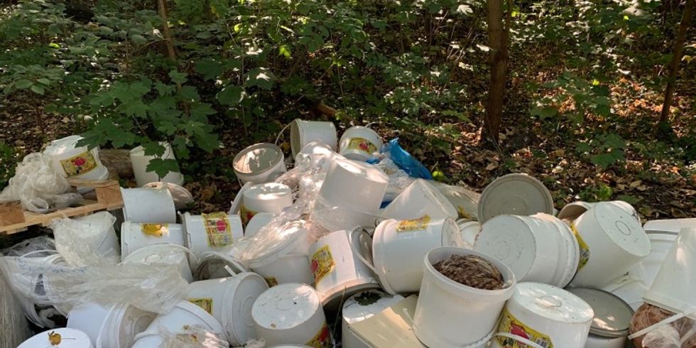 Illegal abgelegter Müll im Plänterwald