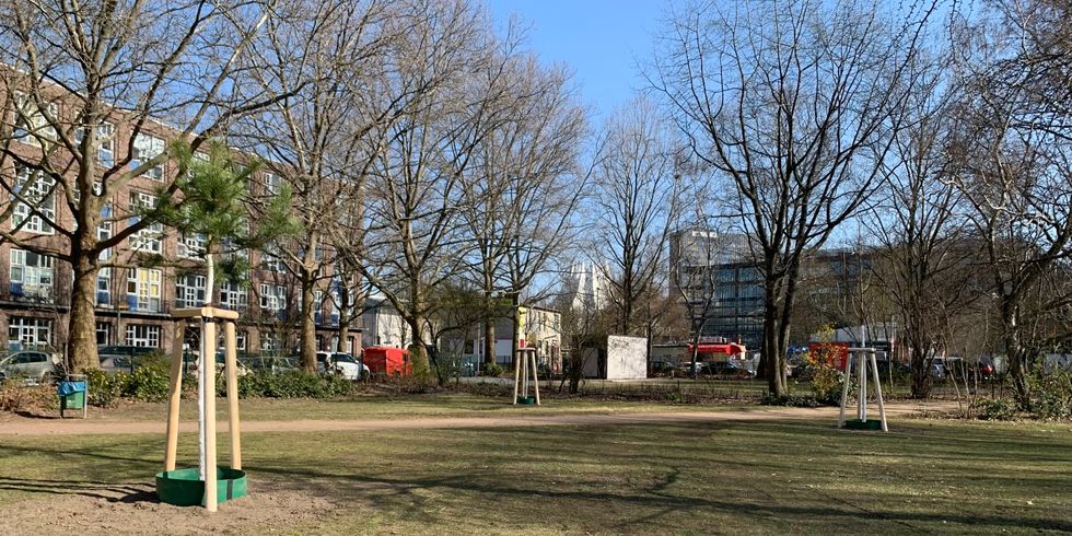 Baumpflanzungen im Mendelssohn-Bartholdy-Park