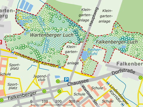 Bildvergrößerung: Karte des NSG Wartenberger / Falkenberger Luch