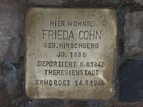 Stolperstein Frieda Cohn