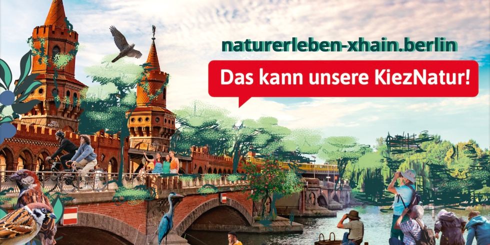 Website der Umweltbildungskoordinierungsstelle, Zukunftsvision Stadtnatur Friedrichshain-Kreuzberg