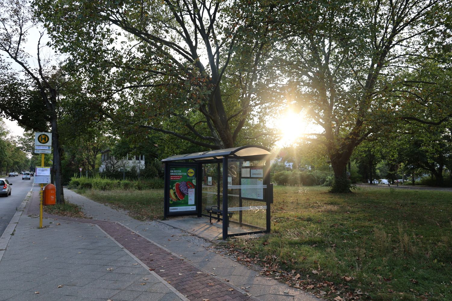 Ein Platz an der Sonne: Hans-Söhnker-Platz (Dahlem) mit der gleichnamigen Bushaltestelle (27. September 2023)