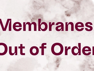 Link zu: Membranes Out Of Order (Vorstellung Ausstellungskatalog)