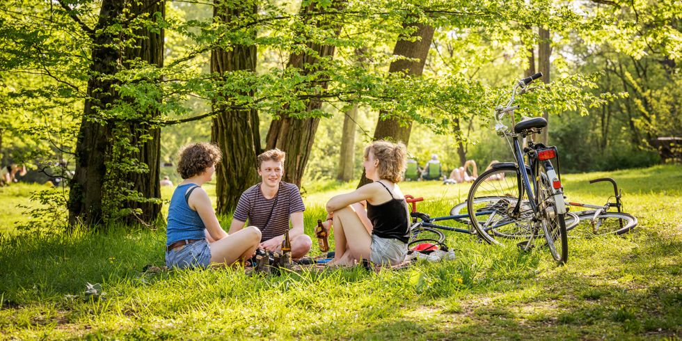 Drei junge Menschen im Park