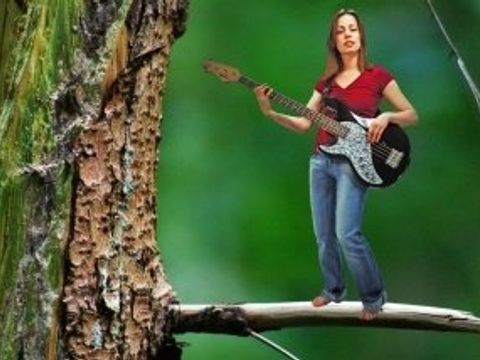 Eine Frau auf dem Ast eines Baumes sitzend