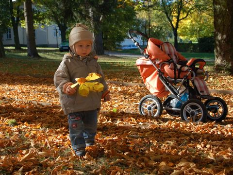 Kleiner Junge mit Herbstblatt