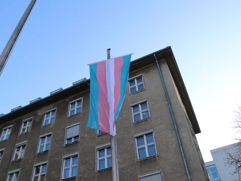 Trans-Fahne
