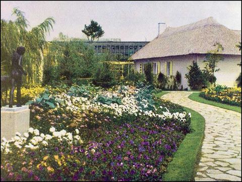 Blick in den Farbengarten der Sommerblumen mit Petunien, Astern und Verbenen 1934 