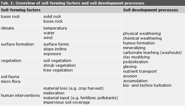 Overview of Soil-forming Factors and Soil Development Processes