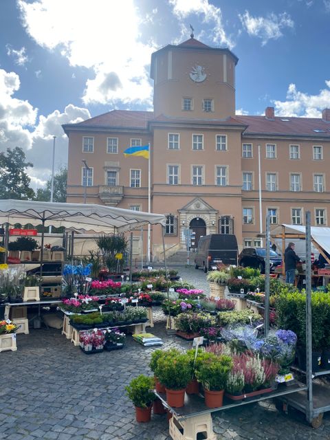 Bildvergrößerung: Blumenstände des Marktes vor dem Rathaus Lankwitz