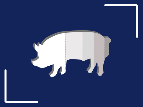 Silhouette eines Schweins mit gekennzeichneten Körperteilen