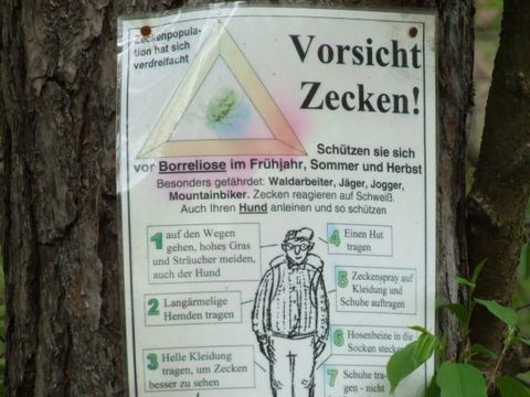 Ein Plakat an einem Baum mit der Aufschrift „Vorsicht Zecken“ sowie weiteren Hinweisen zum Verhalten