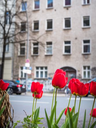 Torstraße mit Tulpen