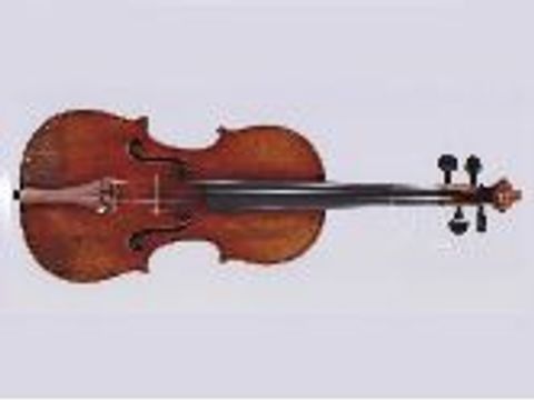 Violine-1_868576