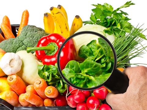 Lebensmittelkontrolle bei Obst und Gemüse mit einer Lupe