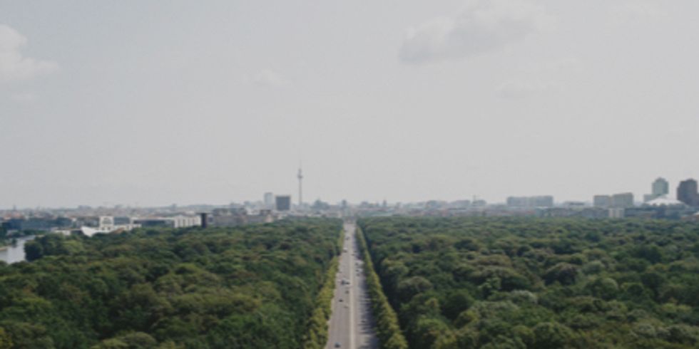 Blick auf die Straße des 17.Juni umgeben von Bäumen und dem Berliner Fernsehturm in der Ferne