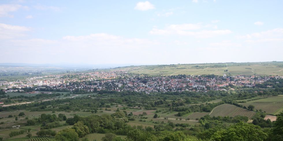 Panorama Ingelheim