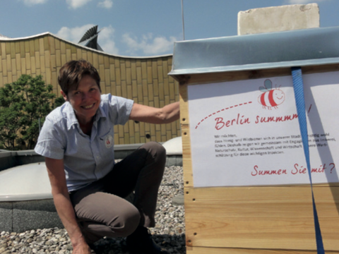 Berlin summt!-Imkerin Hilde Smits mit Bienenstöcken auf dem Dach des Musikinstrumenten-Museums; im Hintergrund die Philharmonie