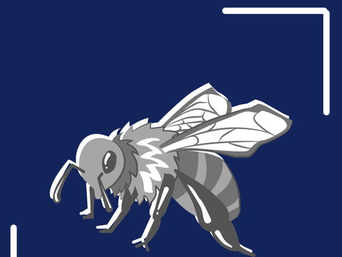 Piktogramm einer Biene