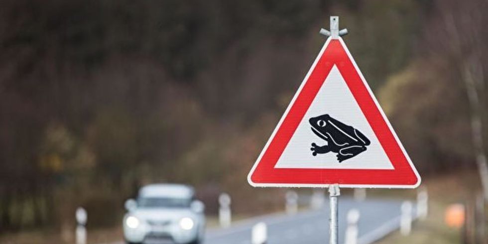 Warnschild zur Krötenwanderung am Straßenrand