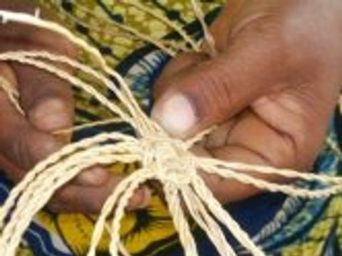Weaver's hand in Nyariga