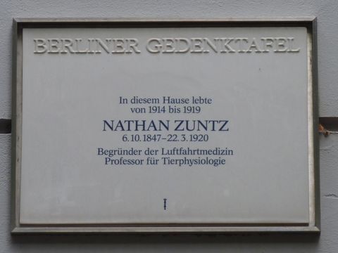 Gedenktafel für Nathan Zuntz, 13.8.2010, Foto: KHMM