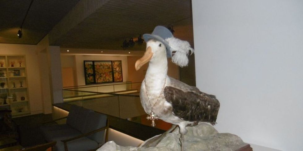 Ein Albatros mit Hut auf einem Podest