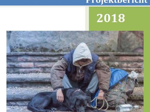 Deckblatt Projektbericht ALAVD2017 
