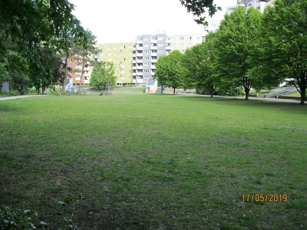 Bildvergrößerung: Böcklerpark im Mai 2019: Grünfläche hinter dem Stadthaus Böcklerpark