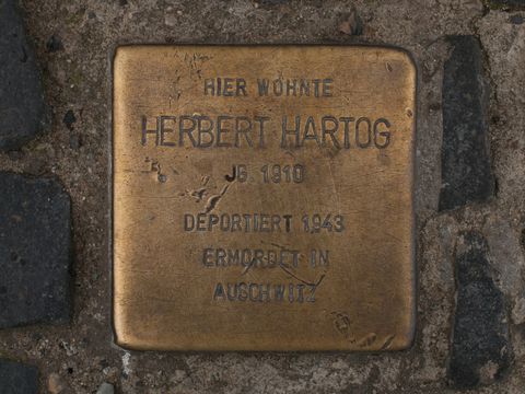 Stolperstein Herbert Hartog, 03.06.2012