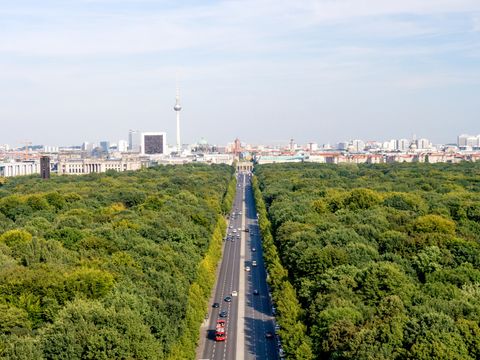 Bildvergrößerung: Großer Tiergarten (Straße des 17. Juni)