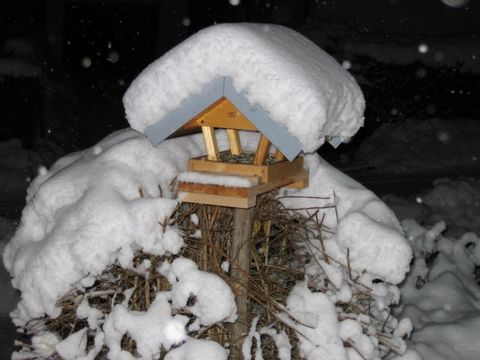 Vogelhaus bedeckt mit Schnee