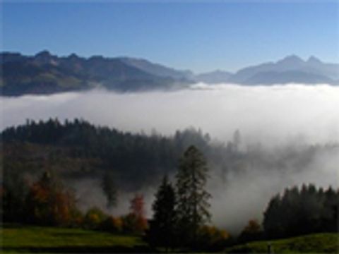 teaser_Ein Tal mit Bäumen welches vom Nebel bedeckt ist, bei morgentlichem Sonnenschein