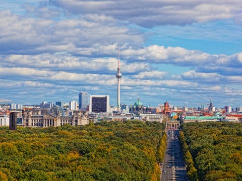 Panoramaansicht über den Berliner Tiergarten