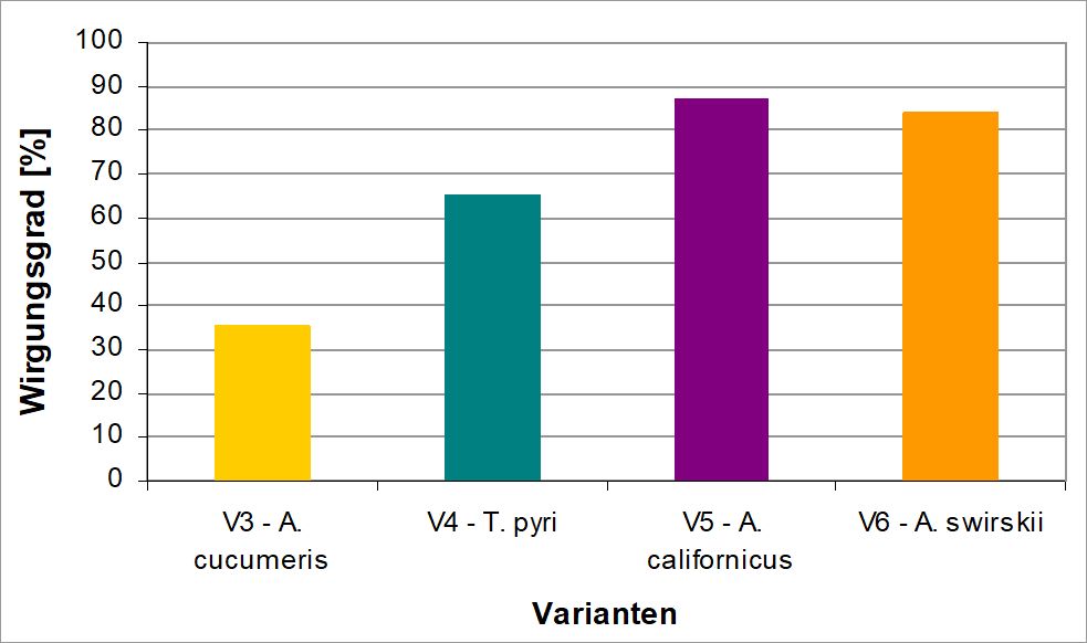 Bildvergrößerung: Wirksamkeit unterschiedlicher Raubmilbenarten gegenüber der Teebaumspinnmilbe Oligonychus coffeae im Labor