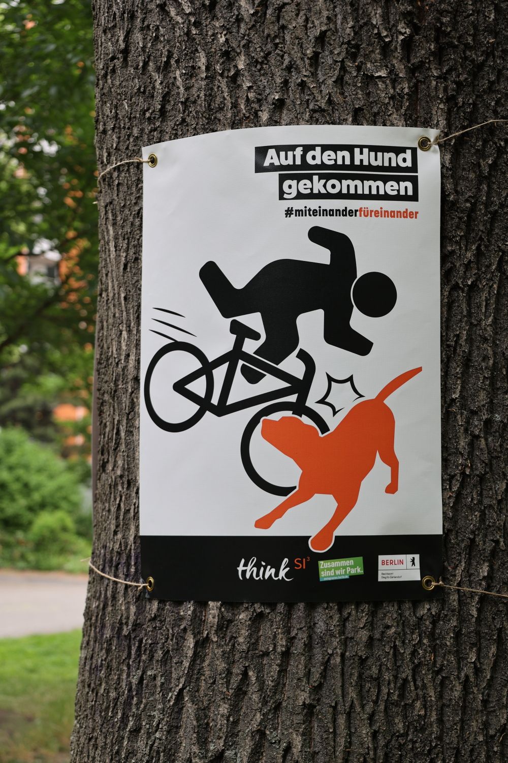 Kampagne Stadtpark Steglitz MiteinanderFüreinander - 23