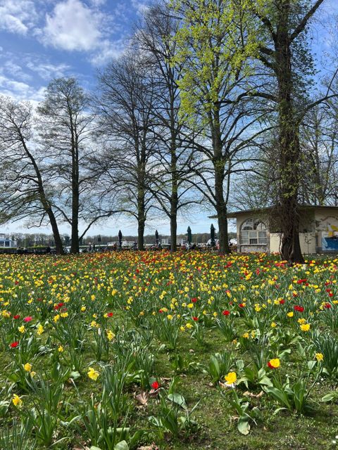 Bildvergrößerung: Idyllische Greenwichpromenade mit Tulpen und Osterglocken