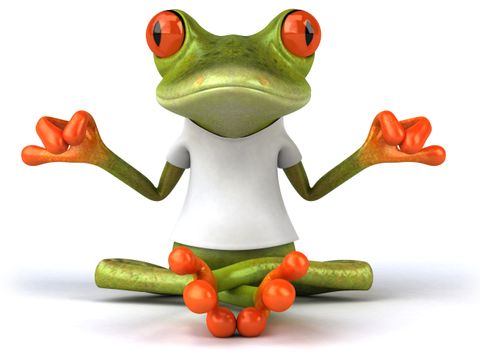 meditierender Frosch mit weißem T-Shirt