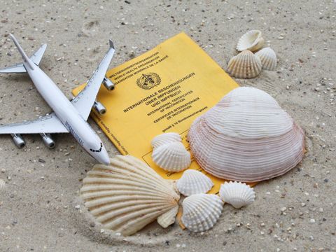 Ein Impfbuch im Sand, eingerahmt von Muscheln und einem Spielflugzeug