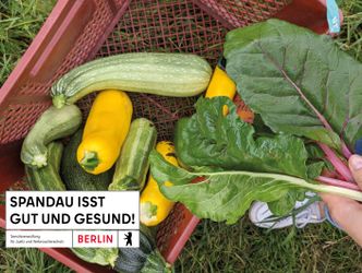 Ein Gemüsekorb (Hintergrund) und der Schriftzug 