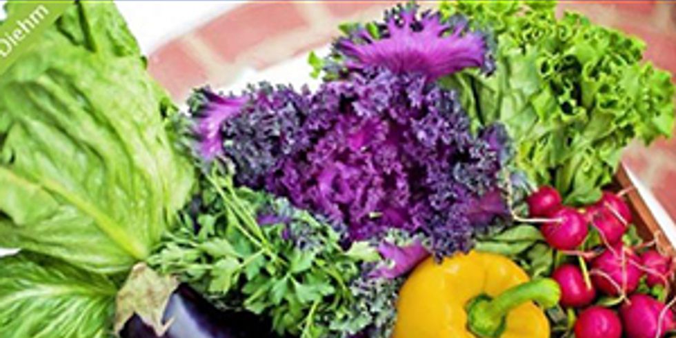in einem Korb eine Gemüse-Auswahl mit Paprika, Aubergine, Radieschen und Blattsalat