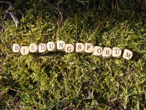 Auf grünem moosbedeckten Boden liegen kleine Holzwürfel im Sonnenlicht nebeneinander. Sie sind mit Buchstaben bedruckt und bilden das Wort: Bildungsforum. 