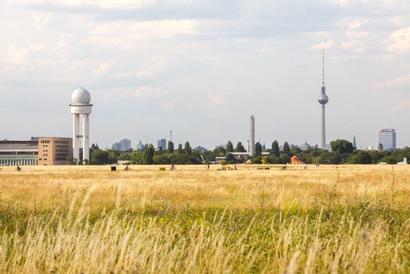 Wiesenmeer auf dem Tempelhofer Feld 