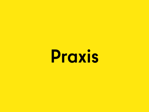 Praxis_3