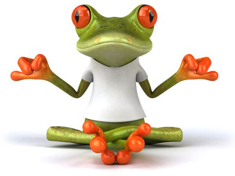 Bildvergrößerung: meditierender Frosch mit weißem T-Shirt